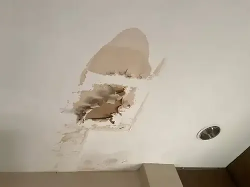 Ceiling drywall opened and peeling around a stained wet section