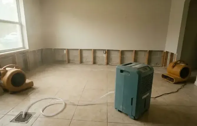 Bare room with lower wall finishes removed for controlled drying