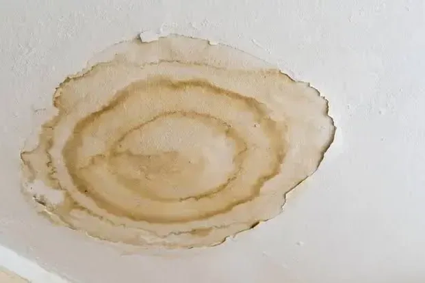Circular brown water stain spreading across a white ceiling surface