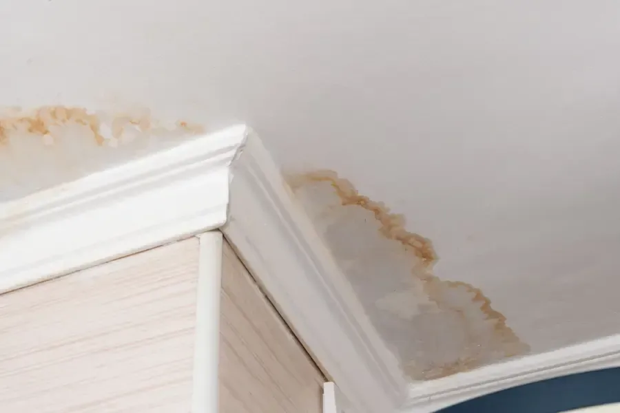 Brown water stain across a ceiling corner above crown molding